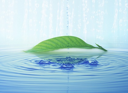 確定水產養殖污水每天的處理量需要綜合考慮多個因素