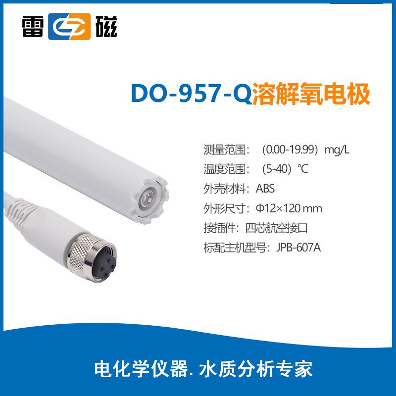 雷磁溶解氧電極系列DO-957-Q實(shí)驗(yàn)室便攜式溶氧電極傳感器探頭