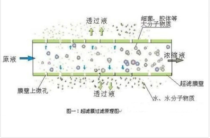 e80c007b-a0ff-475b-979c-e1905f7aba22.png